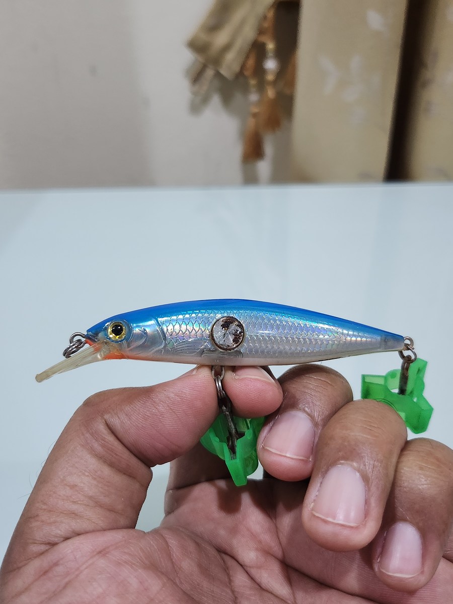 เหยื่อปลอม rapala