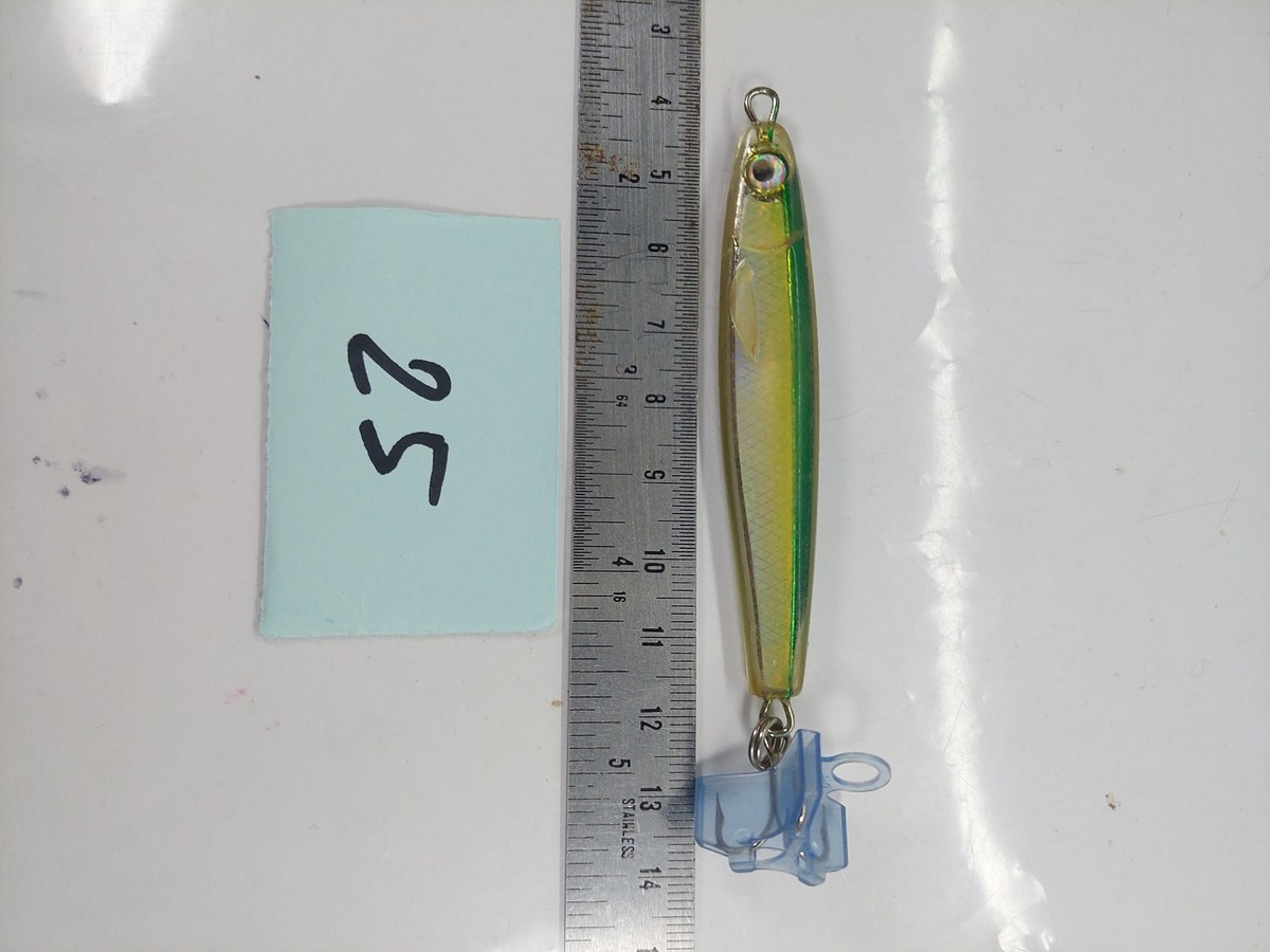   Dum fishing       *******     LURE #  25   ********