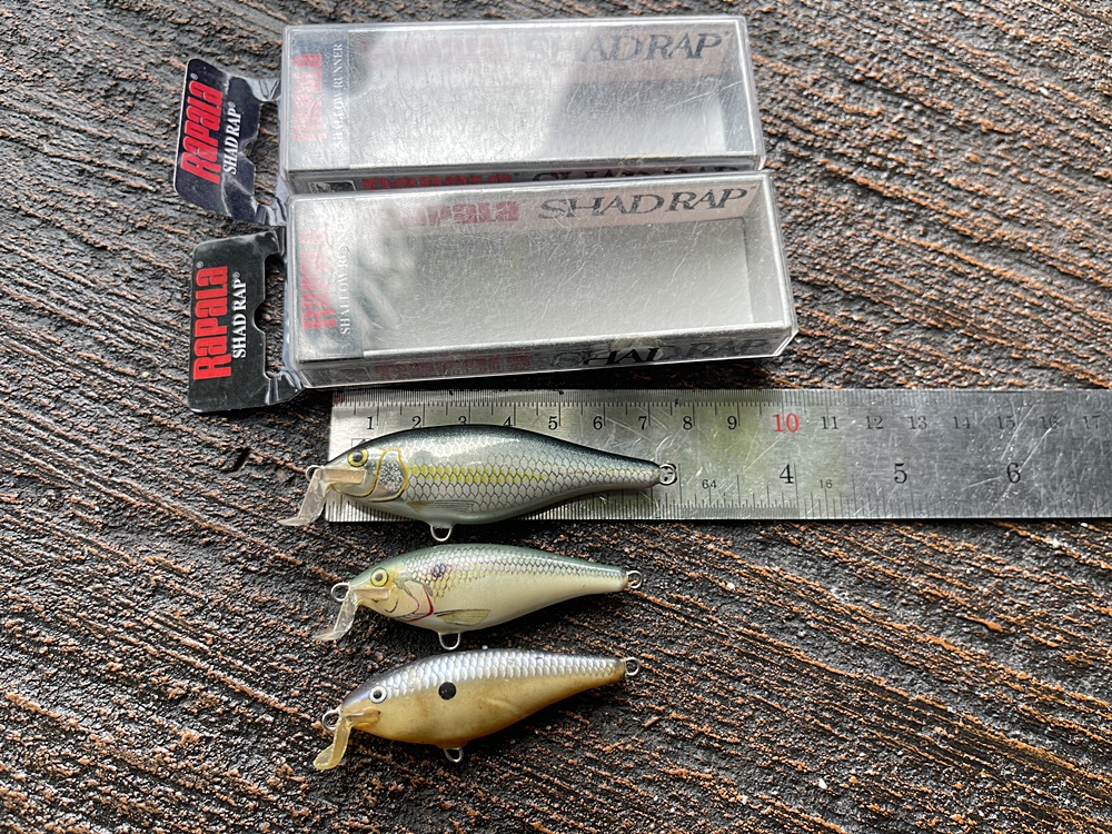 ✪✪✪RAPARA SHAD RAP 5,7 ✪✪✪ 