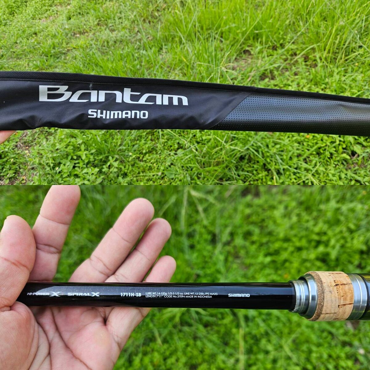 Shimano Bantam เวท 12-25  