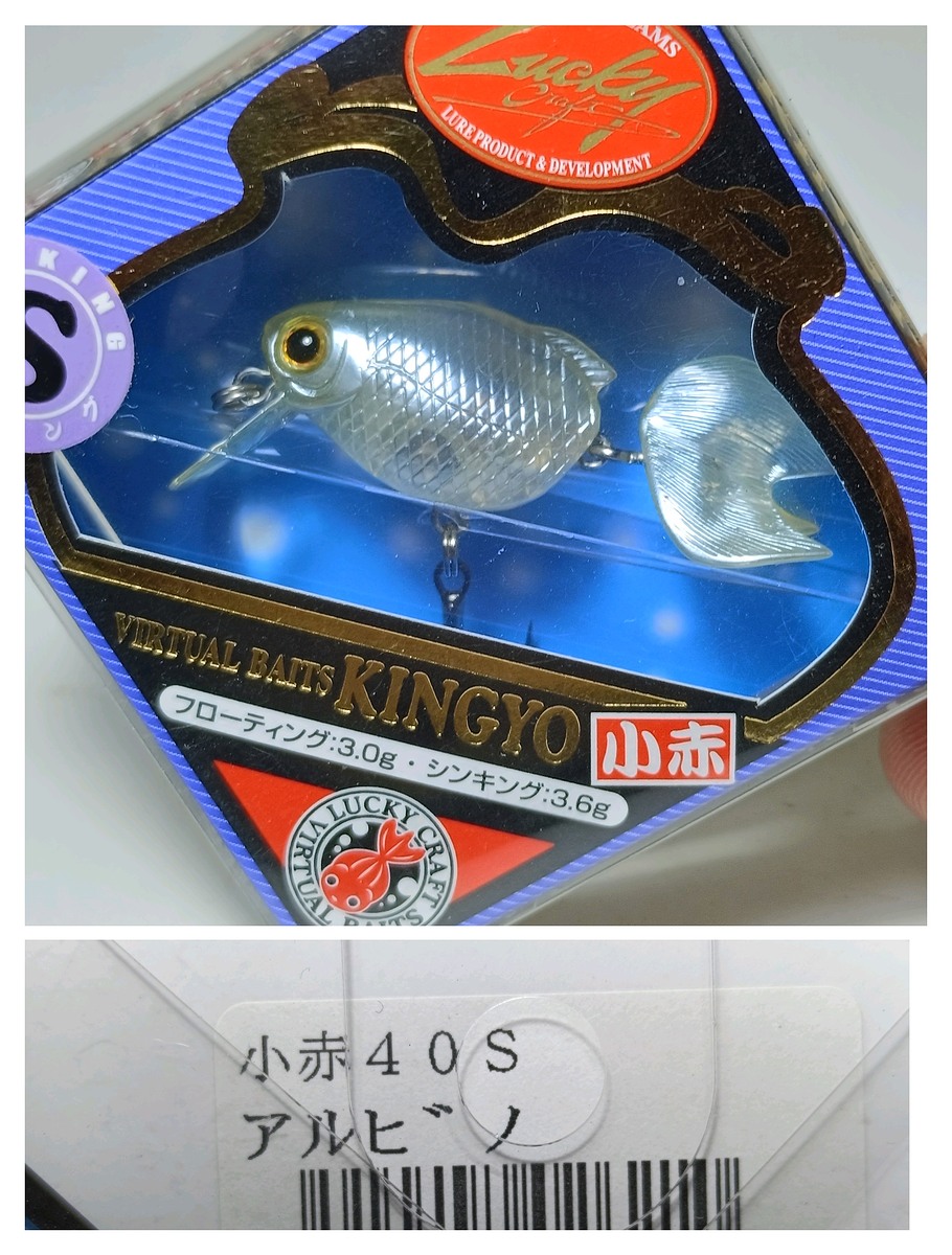 Kingyo 40s