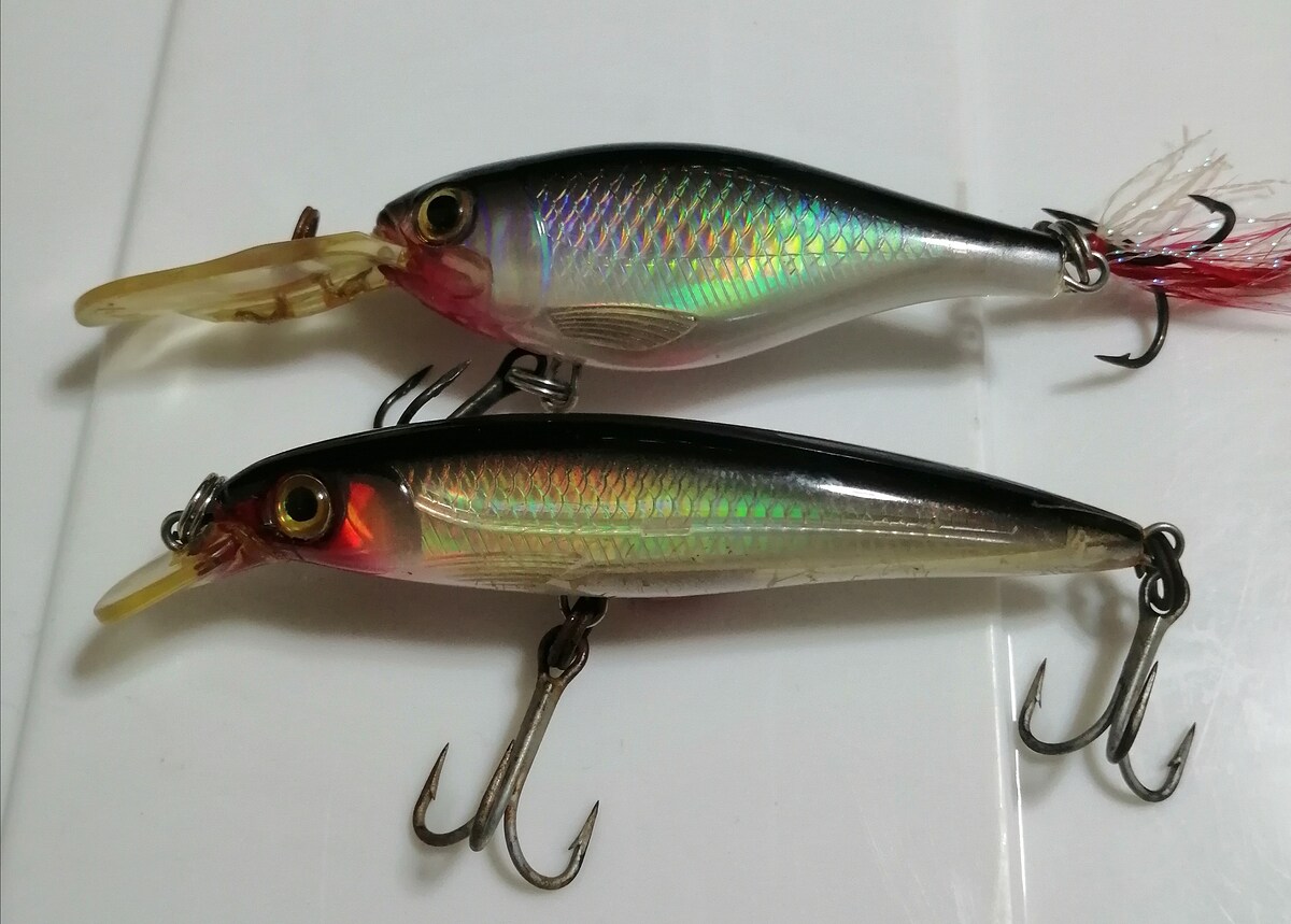 Rapala