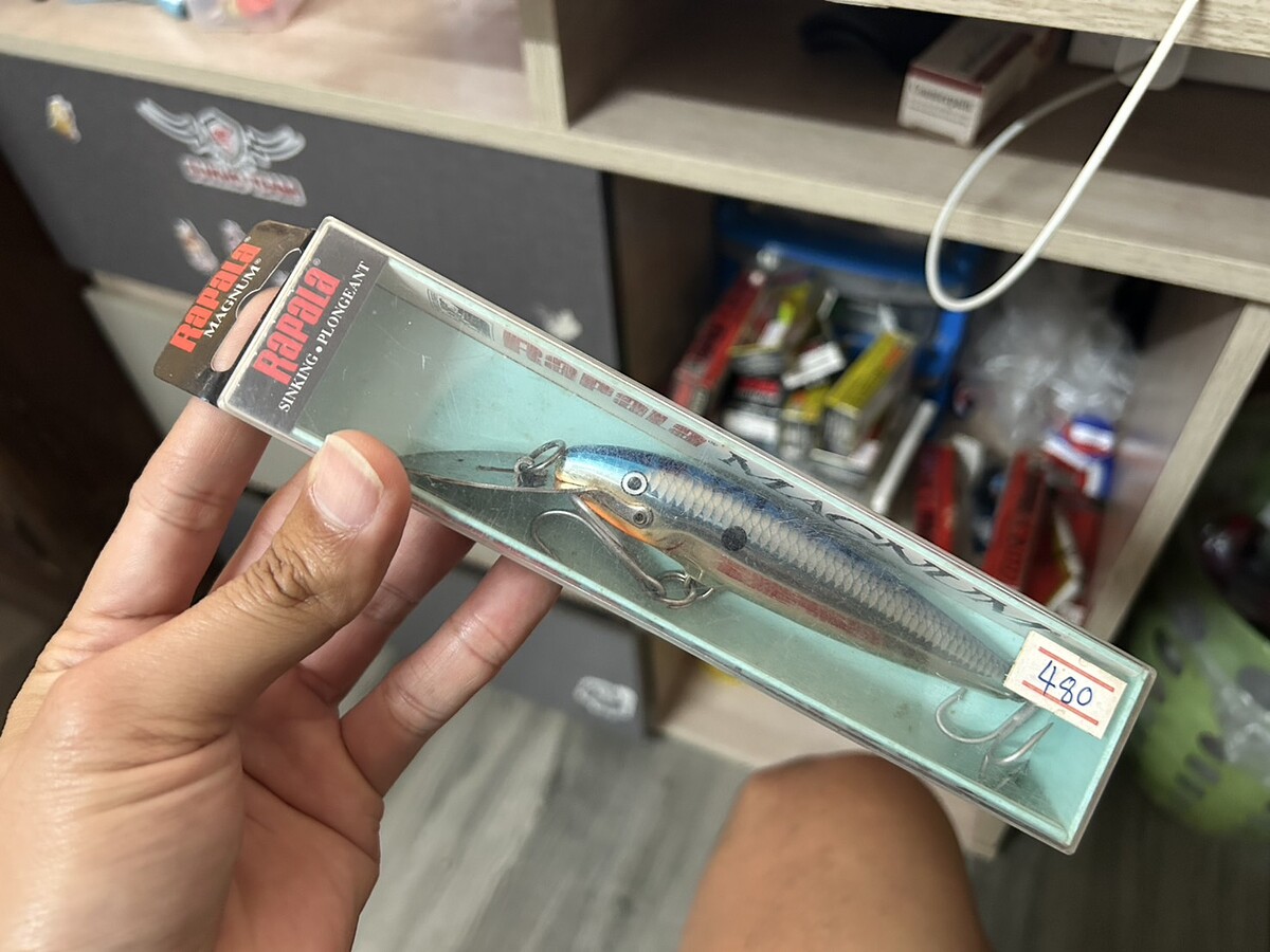 CD-11 MAG