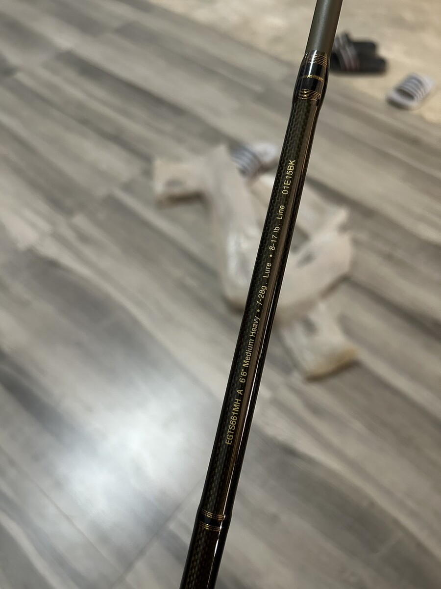 Fenwick Eagle Gt 8-17lb 6.6ฟุต