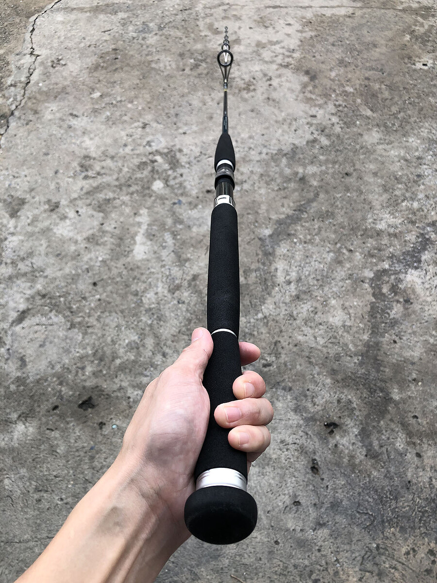 Daiwa Saltiga 57S-2/3