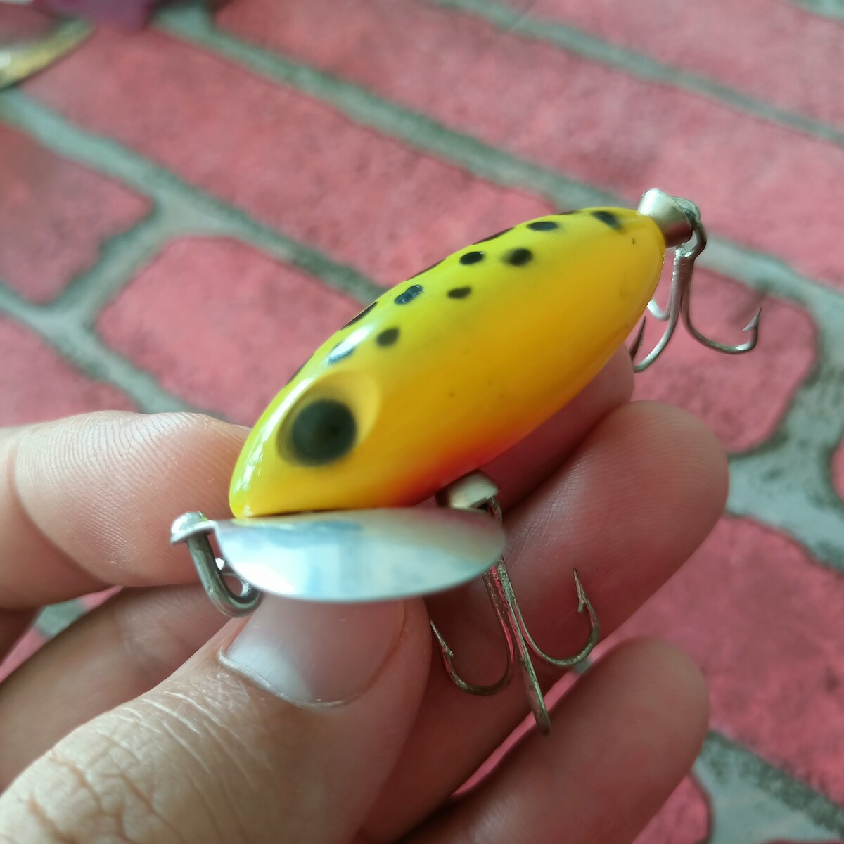 ✴️ ชนะ 3 รายการ ส่งฟรี ✴️ Jitterbug (หลังจุด)