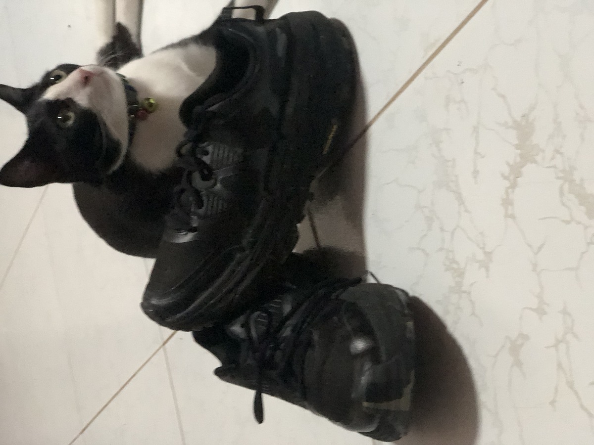 Skechers go trail  support ยึดติด