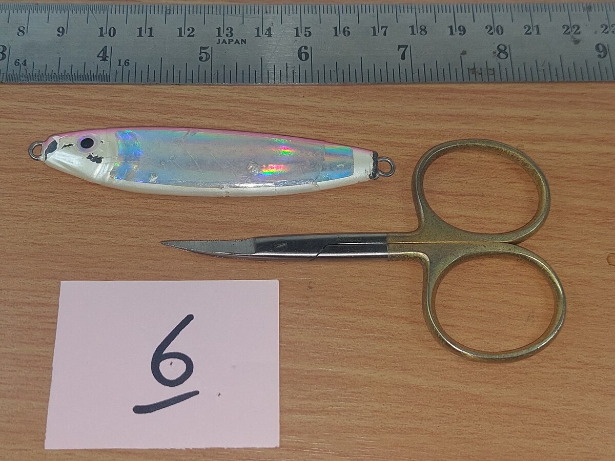   Dum fishing       *******     LURE #    6  ********