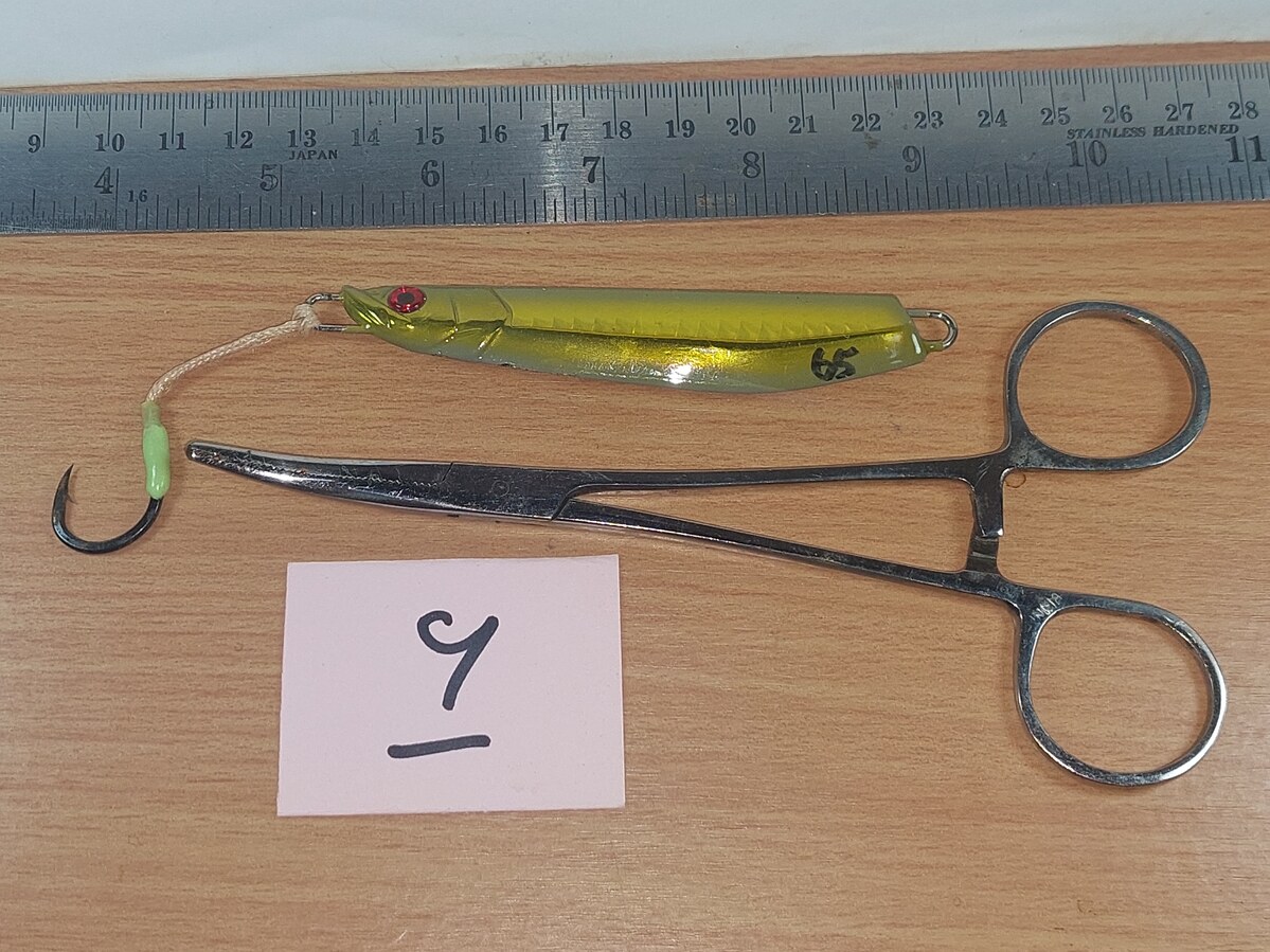   Dum fishing       *******     LURE #   9   ********