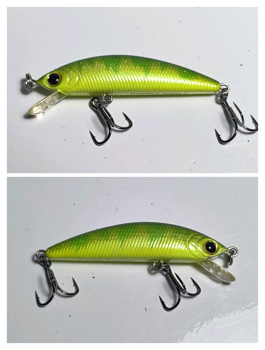 8. Humpback minnw 50f 