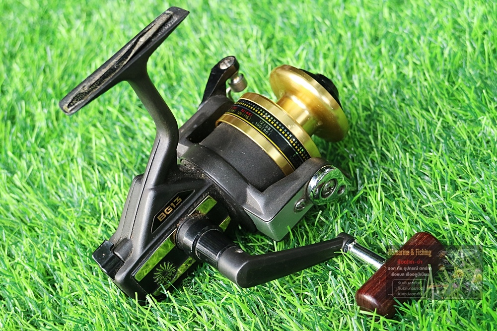 Daiwa BG13