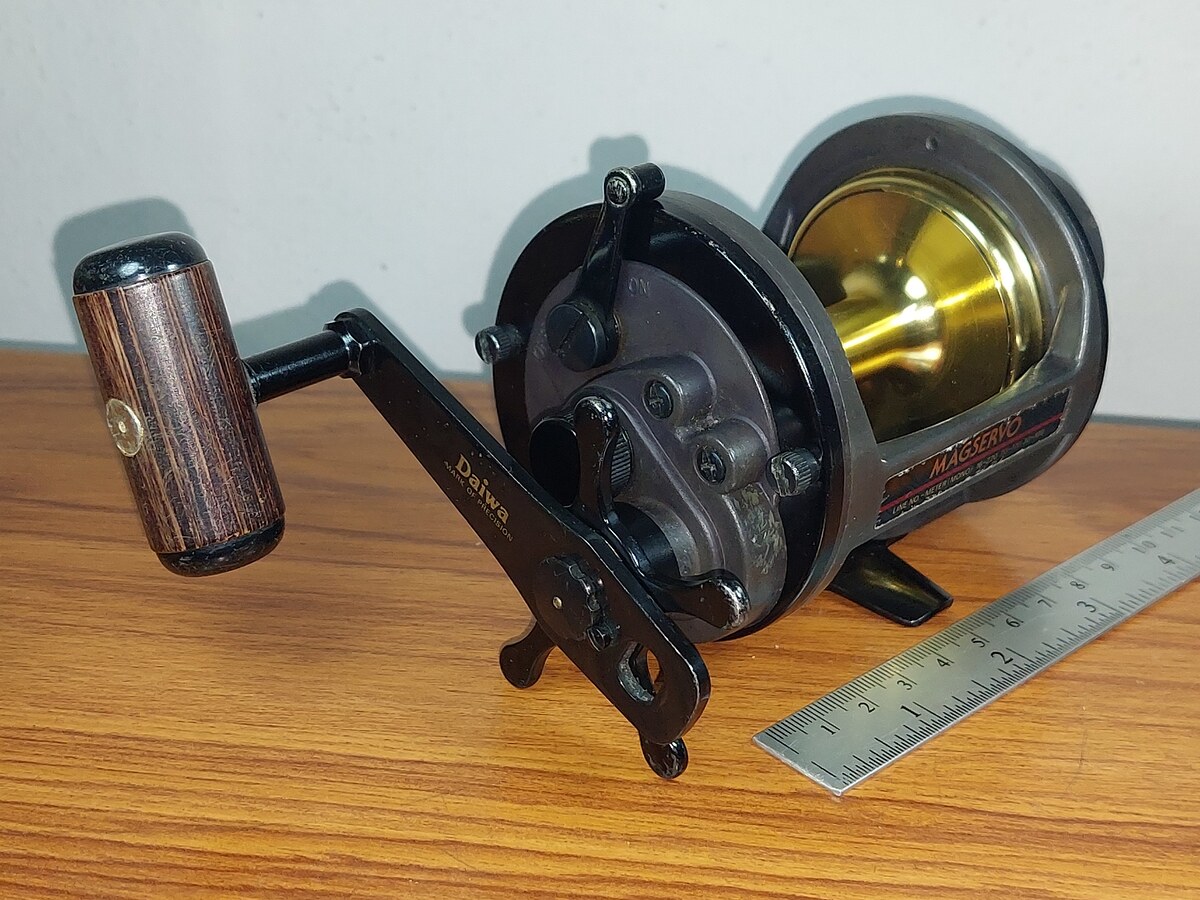   Dum fishing  #  8     ****   DAIWA  SEALINE MAGSERVO  SS  50  ****