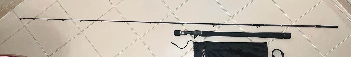   Dum fishing  ROD #  2     **** TICA LIGHT  TLB - 662 L   ****