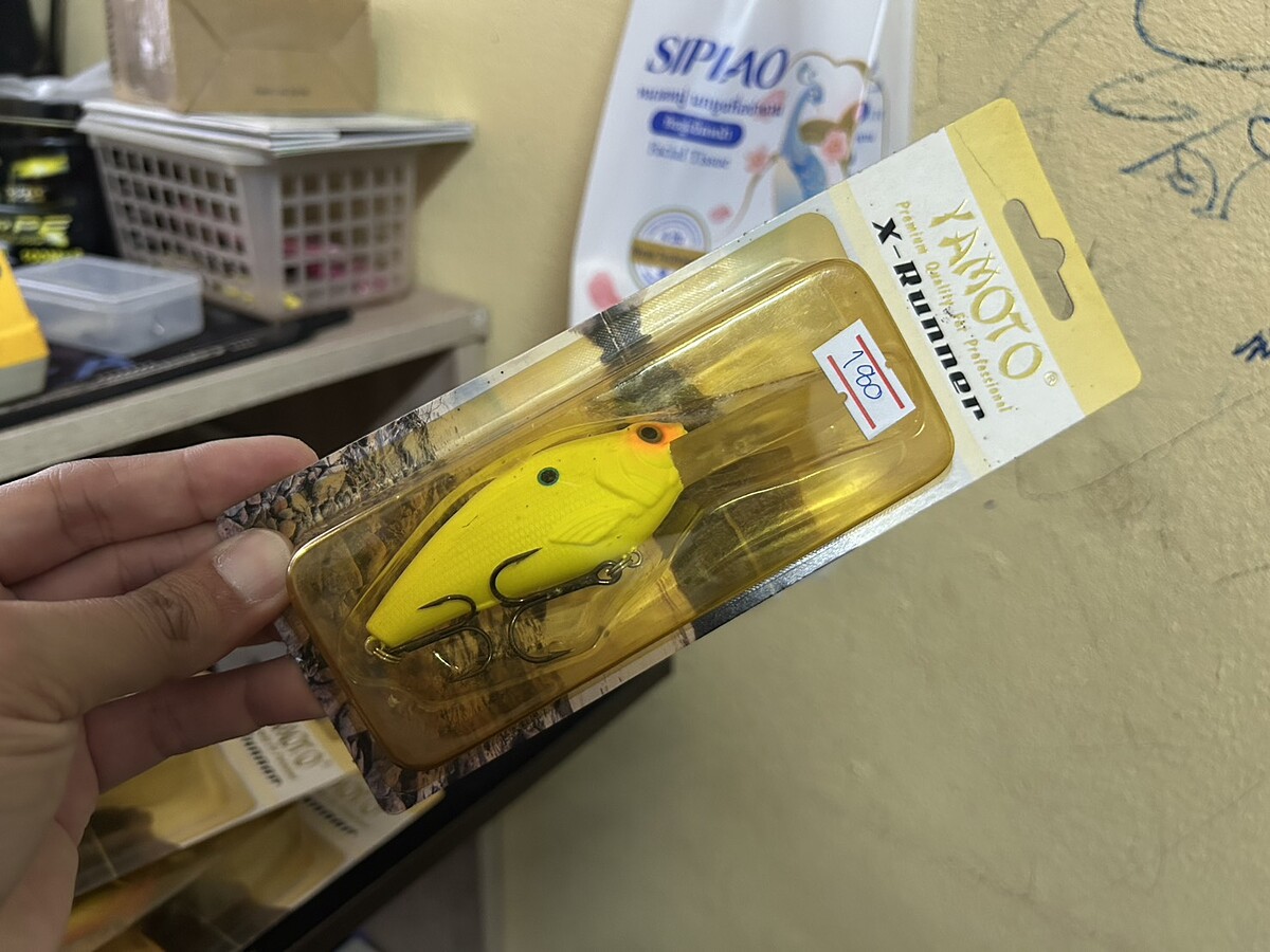 Yamoto(8cm)