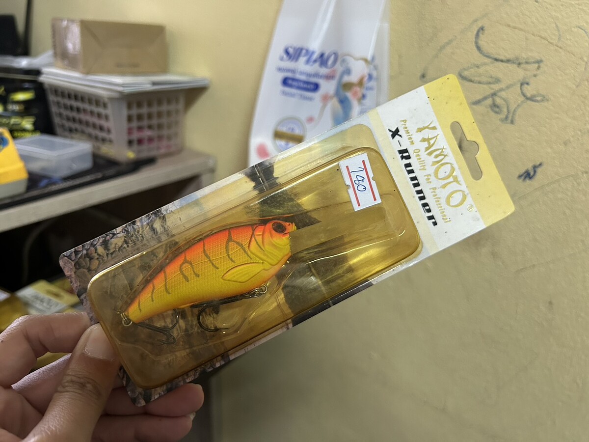 Yamoto(8cm)