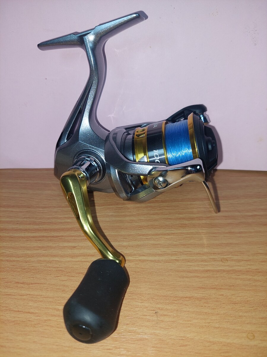   Dum fishing    #  20      ****  SHIMANO  SEDONA  1000     ****