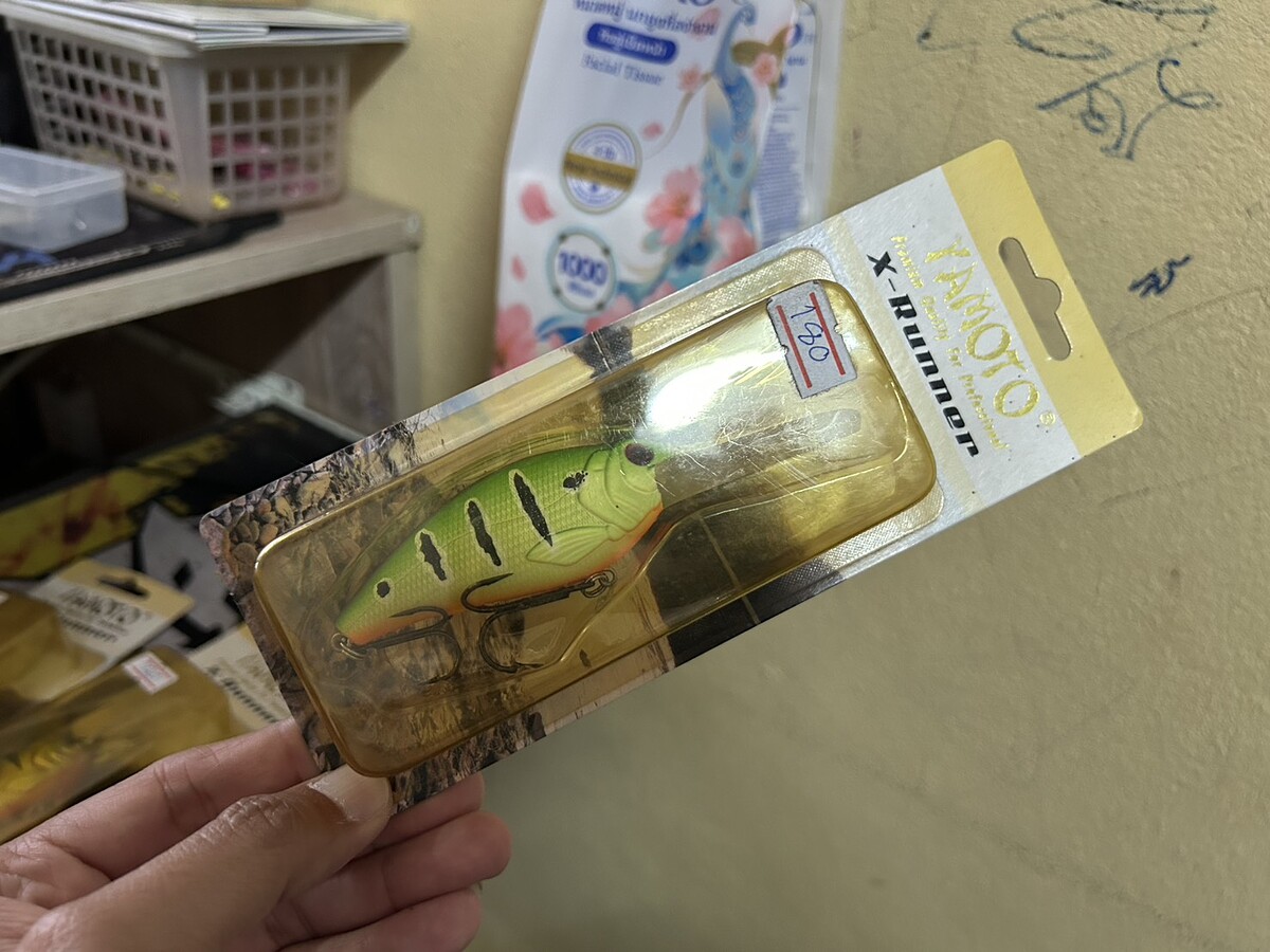 Yamoto(8cm)