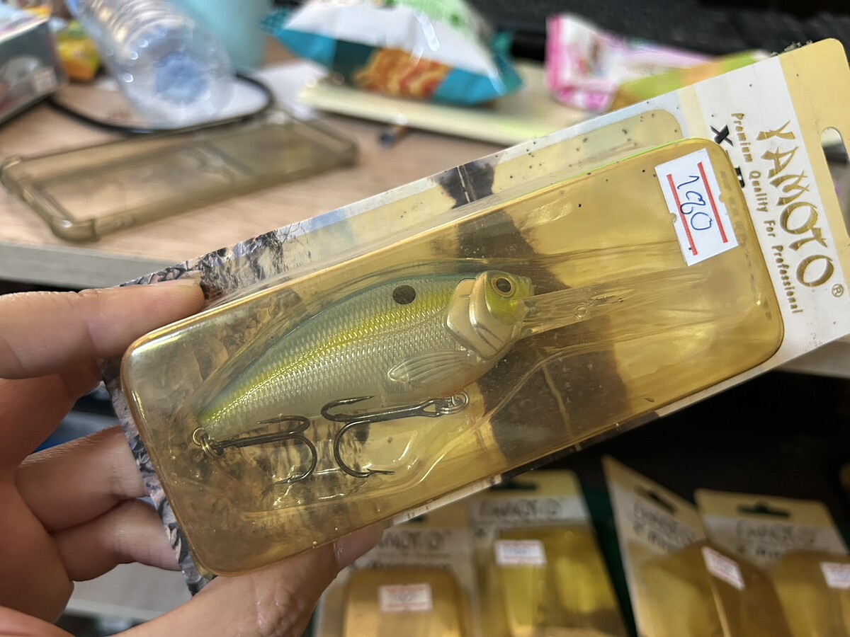 Yamoto(8cm)
