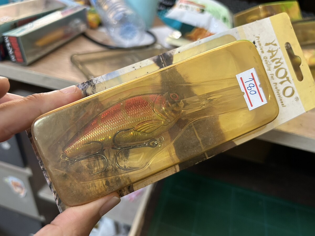 Yamoto(8cm)