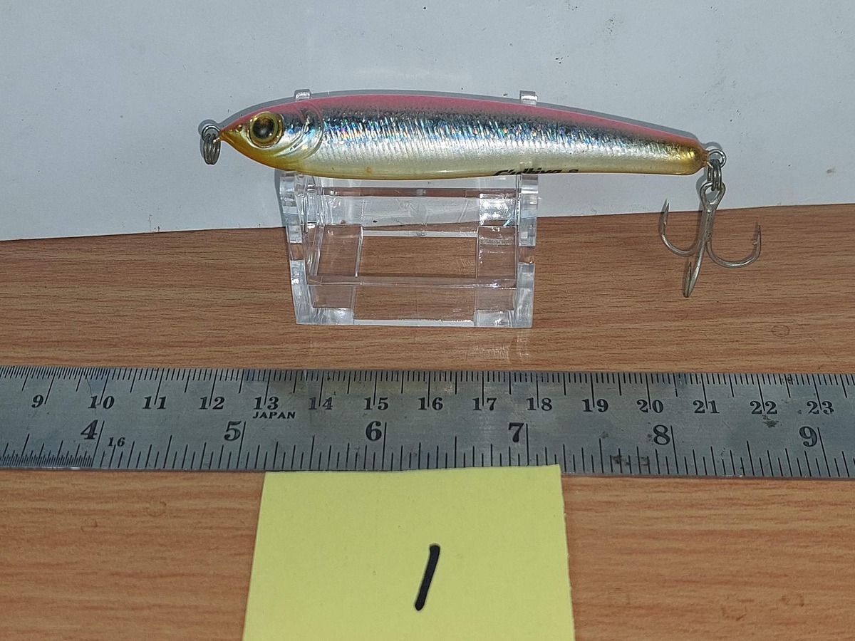   Dum fishing       *******     LURE #    1   ********
