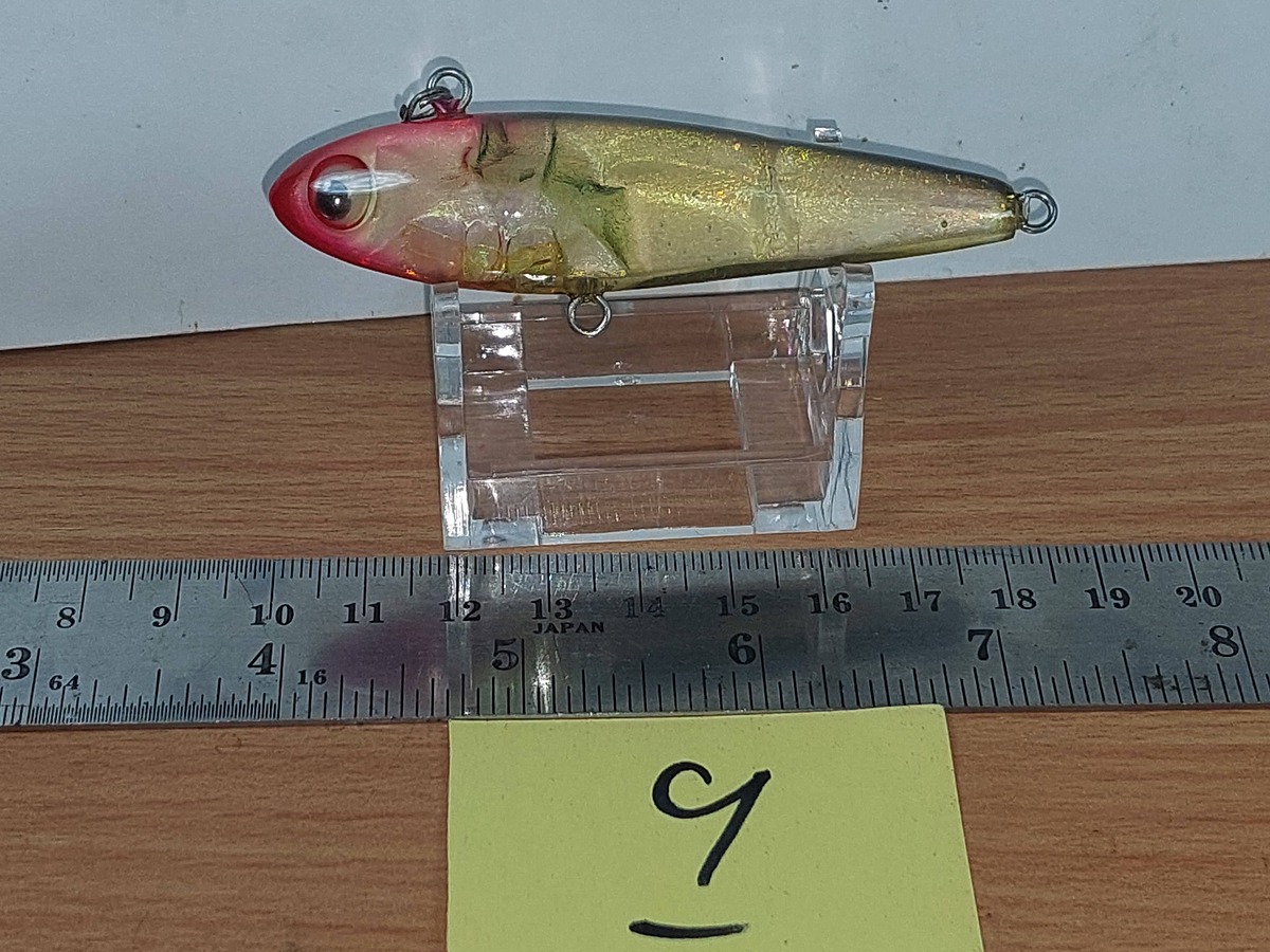   Dum fishing       *******     LURE #    9  ********