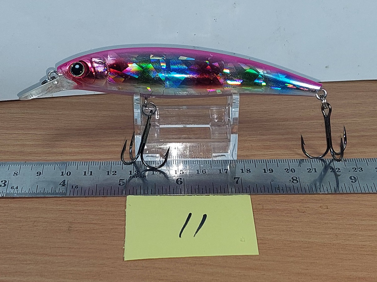   Dum fishing       *******     LURE #    11   WILD SCENE     ********