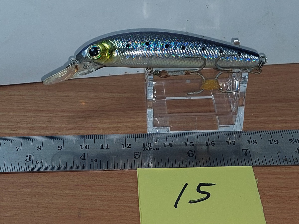  Dum fishing       *******     LURE #    15   ********