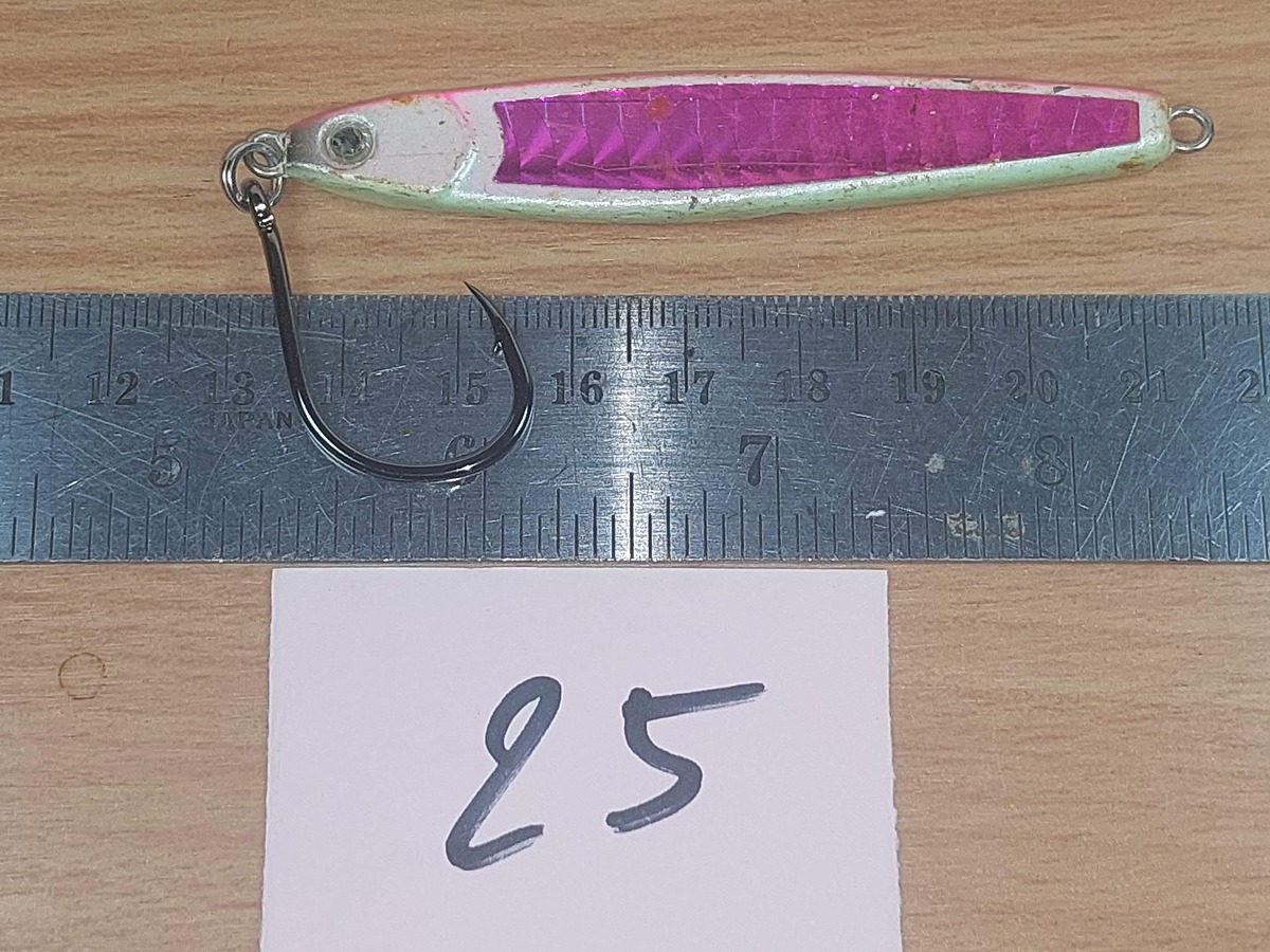   Dum fishing       *******     LURE #    25  ********