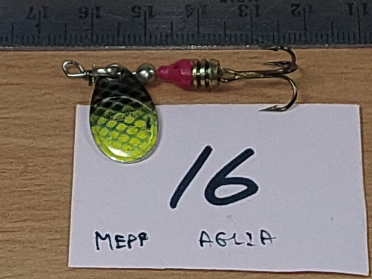   Dum fishing       *******   MEPPS  AGLIA  2    #    16  ********