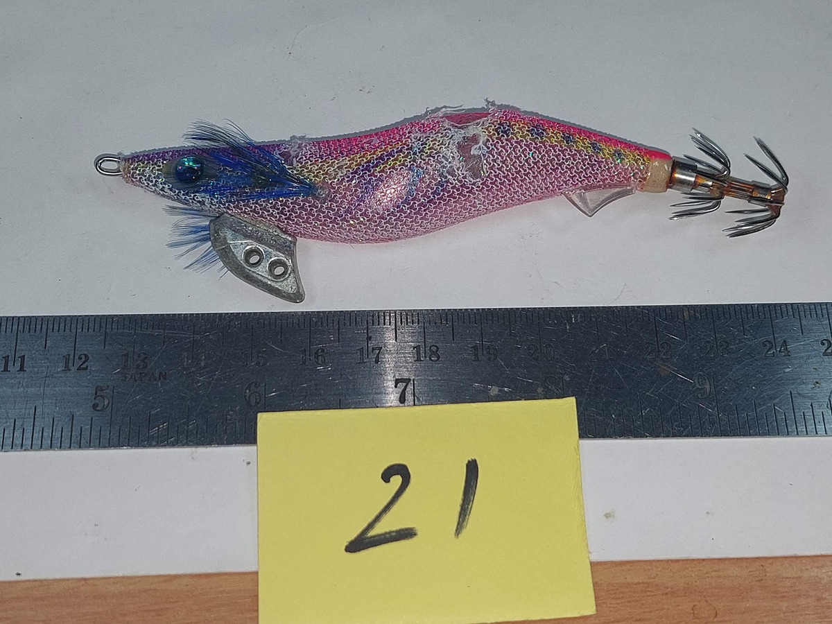   Dum fishing       *******     LURE #   21  yamashita   ********