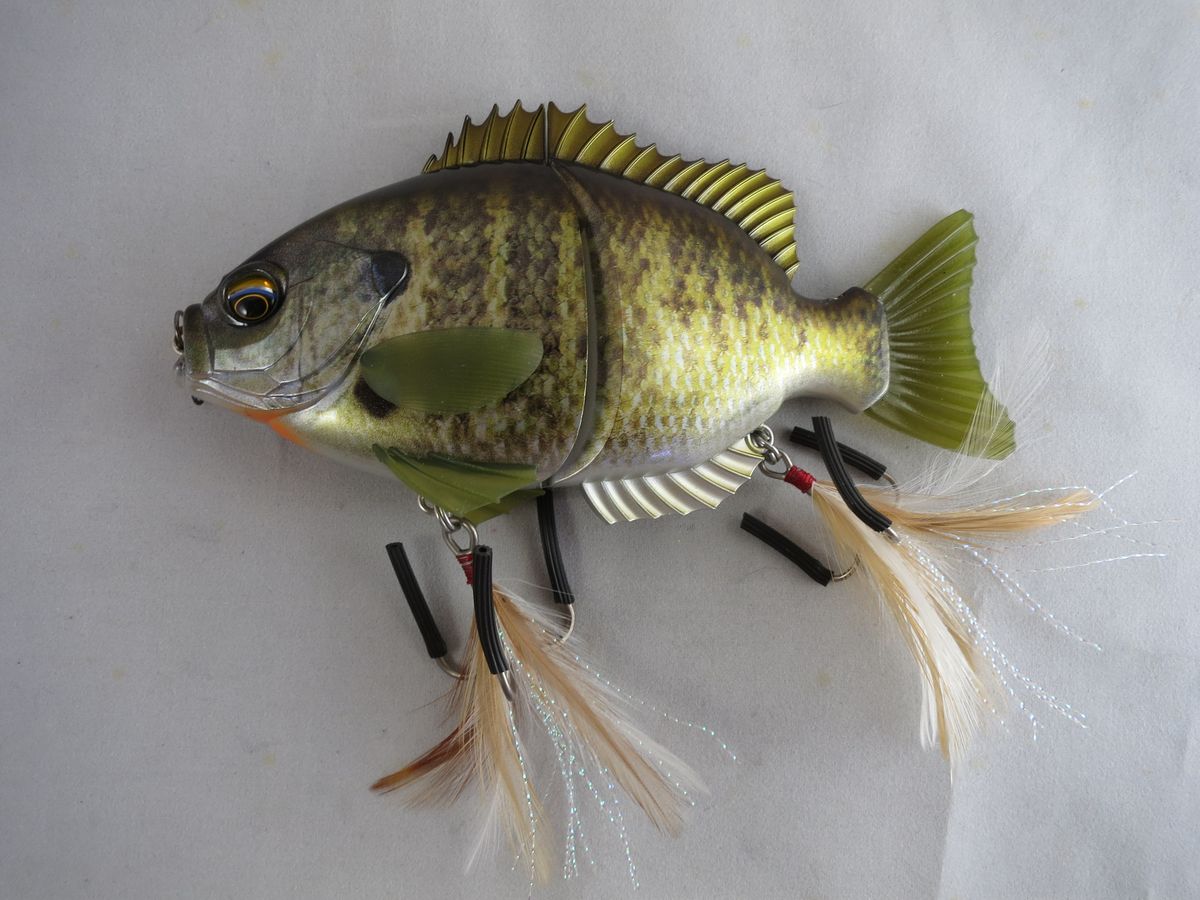 EVERGREEN BREAM SLIDE