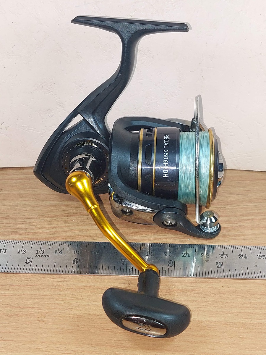   Dum fishing       *** REEEL #  10   DAIWA REGAL   2506 H-DH     ***