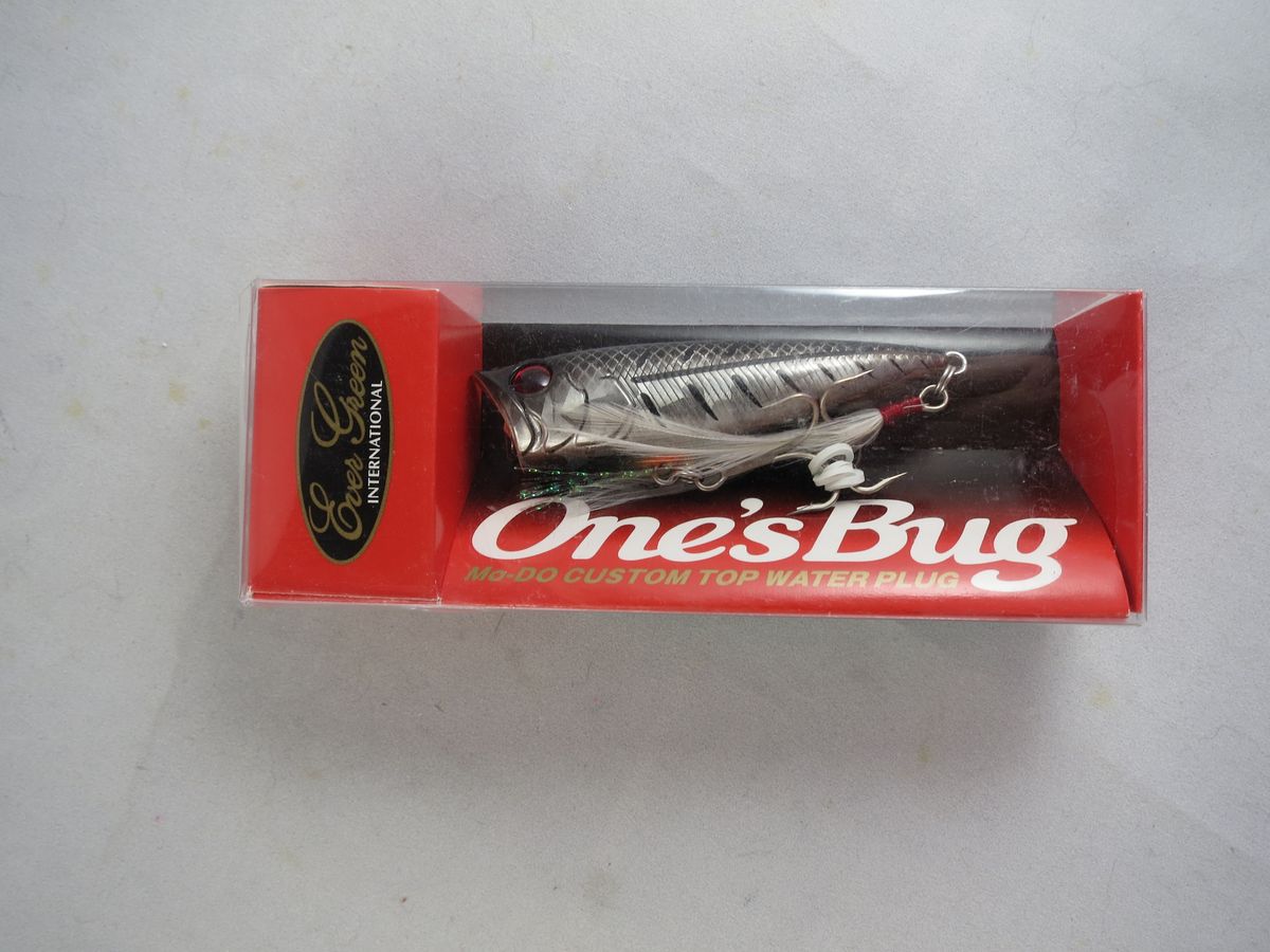EverGreen One’s Bug