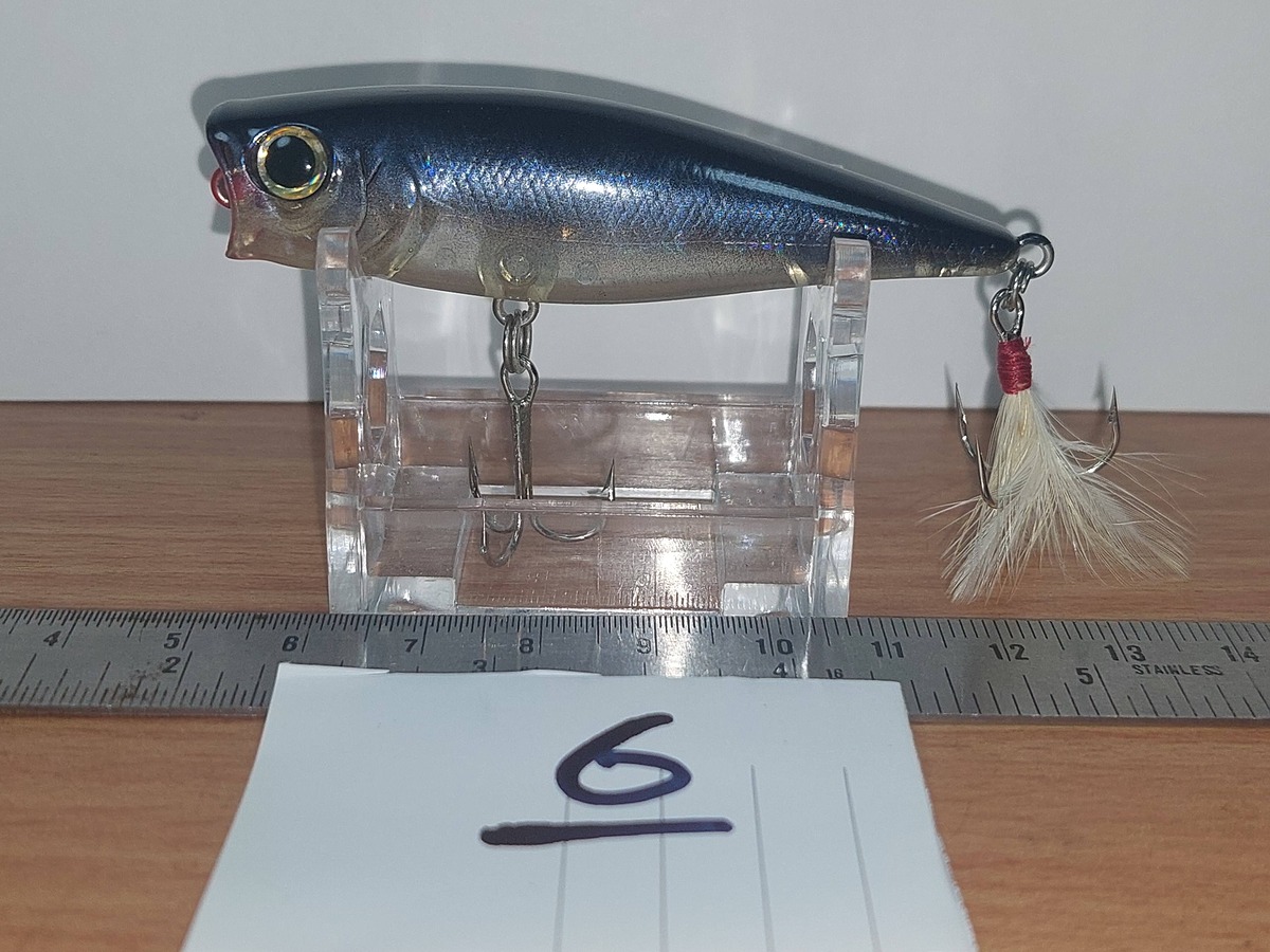   Dum fishing       *******     LURE #   6   ********