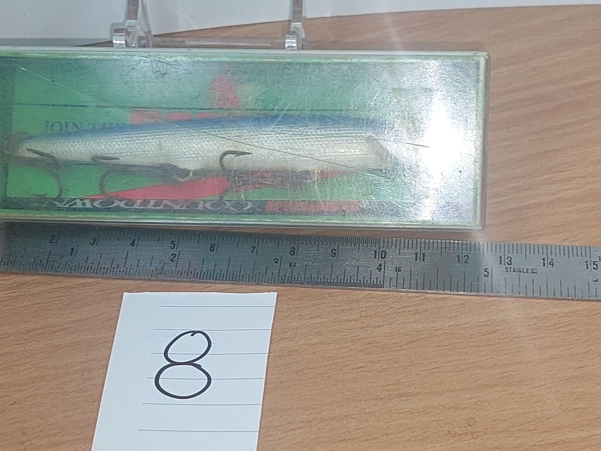   Dum fishing       LURE # 8   *******  RAPALA  ********