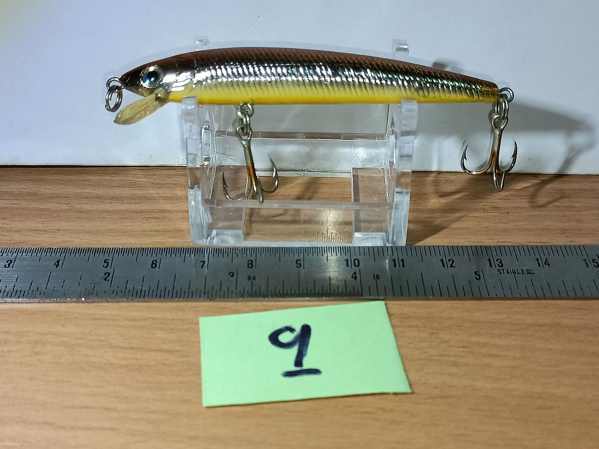   Dum fishing       *******     LURE #    9   ********