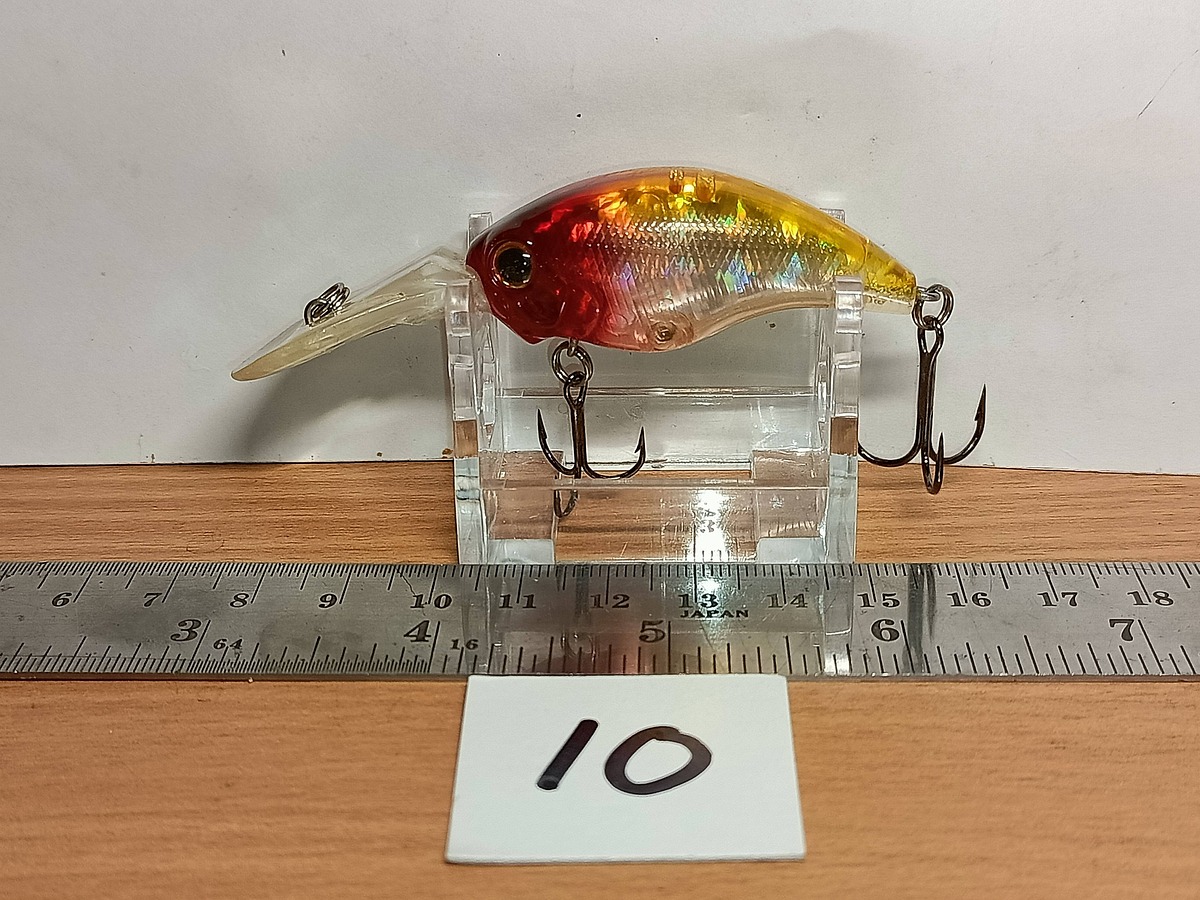   Dum fishing       *******     LURE #    10   ********