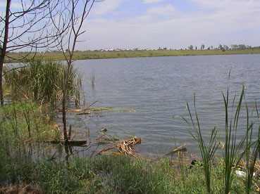 ทางด้านท้ายของทะเลสาบ จะยังมีที่โล่ง ให้สามารถเหวี่ยงเบ็ดได้บ้าง