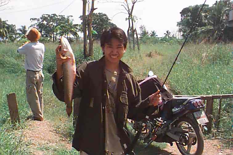 สายรุ้งกับปลาช่อนตัวที่ 3  สมาชิก siamfishing.com ฝากมาบอกว่าเนื้อปลาอร่อยมากครับ