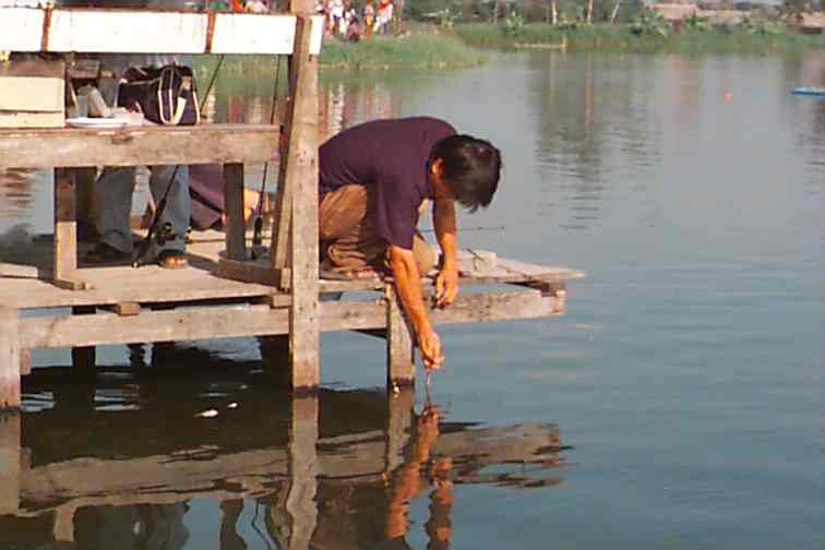 
อีกมุมหนึ่งของพี่พิเชษฐ์ ผู้ช่วยสร้าง SiamFishing.com ทำอะไรอยู่จ๊ะ