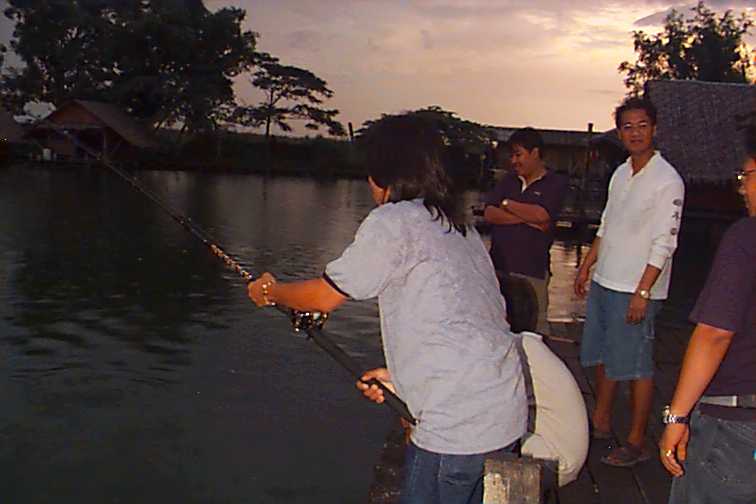  สมาชิกมาช่วยกันดูปลาของพี่สุชน สังเกตุคนเย่อกับปลาครับ หมดแรงสุดๆ พิงเสา คันค้ำ.... แต่สมาชิกเชียรใ