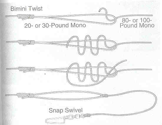 ขออภัยคุณสายรุ้งครับ ภาพเงื่อนทบคู่ บิมินิ ทวิสท์ (Bimini Twist) กับ สไปเดอร์ ฮิทช์ (Spider Hitch) ผ