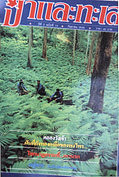 ป่ากับทะเล ปีที่2 ฉบับบที่13 เล่มนี้ม