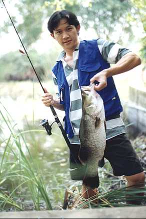 กะพงขาวจากมหาชัย
http://www.siamfishing.com/board/view.php?tid=1041