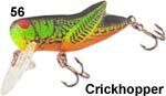 REBEL CRICK HOPPER
