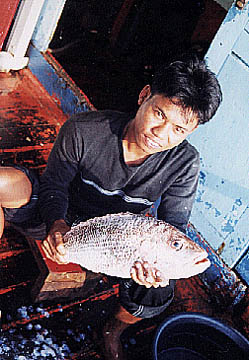 อังเกยที่ได้มา ให้เด็กเรือคนนี้ซึ่