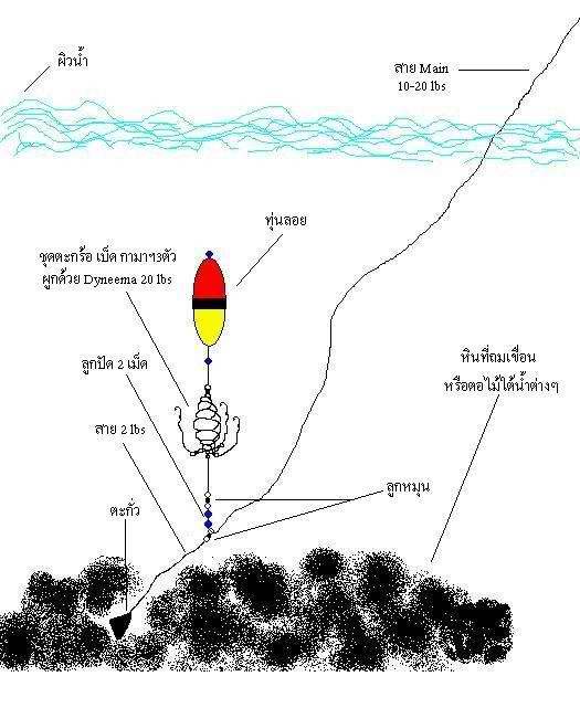 ทุ่นดำน้ำครับ มาดูกันเร้ว