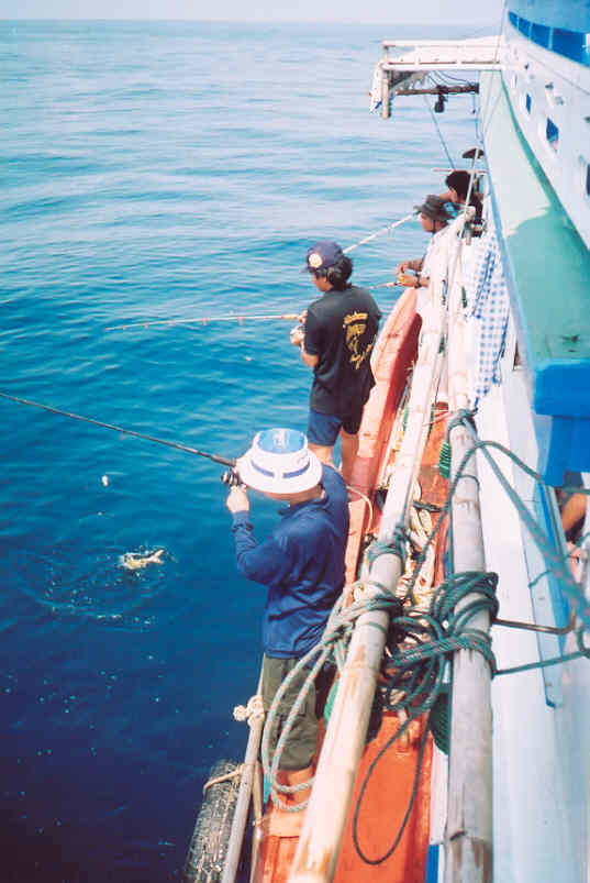 ระหว่างเดินทางออกสู่หมายนอก ทะเลราบเรียบราวกรีนกอล์ฟ เราพบซั้งขนาดใหญ่ มีฝูงปลาอีโต้มอญตอมอยู่มากมาย