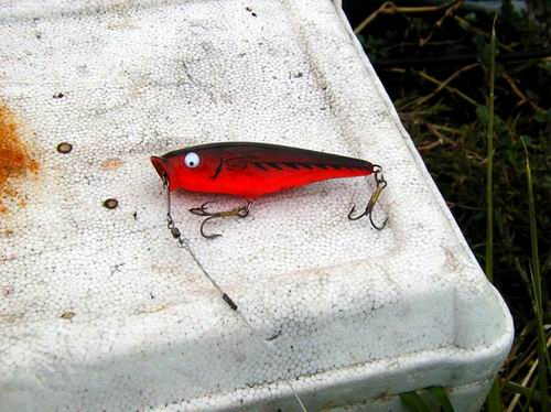 NV RAPALA ...... กำลังออกวางตลาดแล้วครับท่าน
((((((((( อย่าพลาด )))))))))..........................