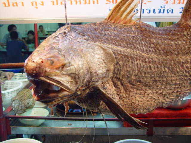จะ จะ หนวดถักเปียได้
น้ำหนัก 59 กก. ยาวกว่า 170 ซม.